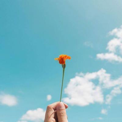 im电竞官方网站app下载